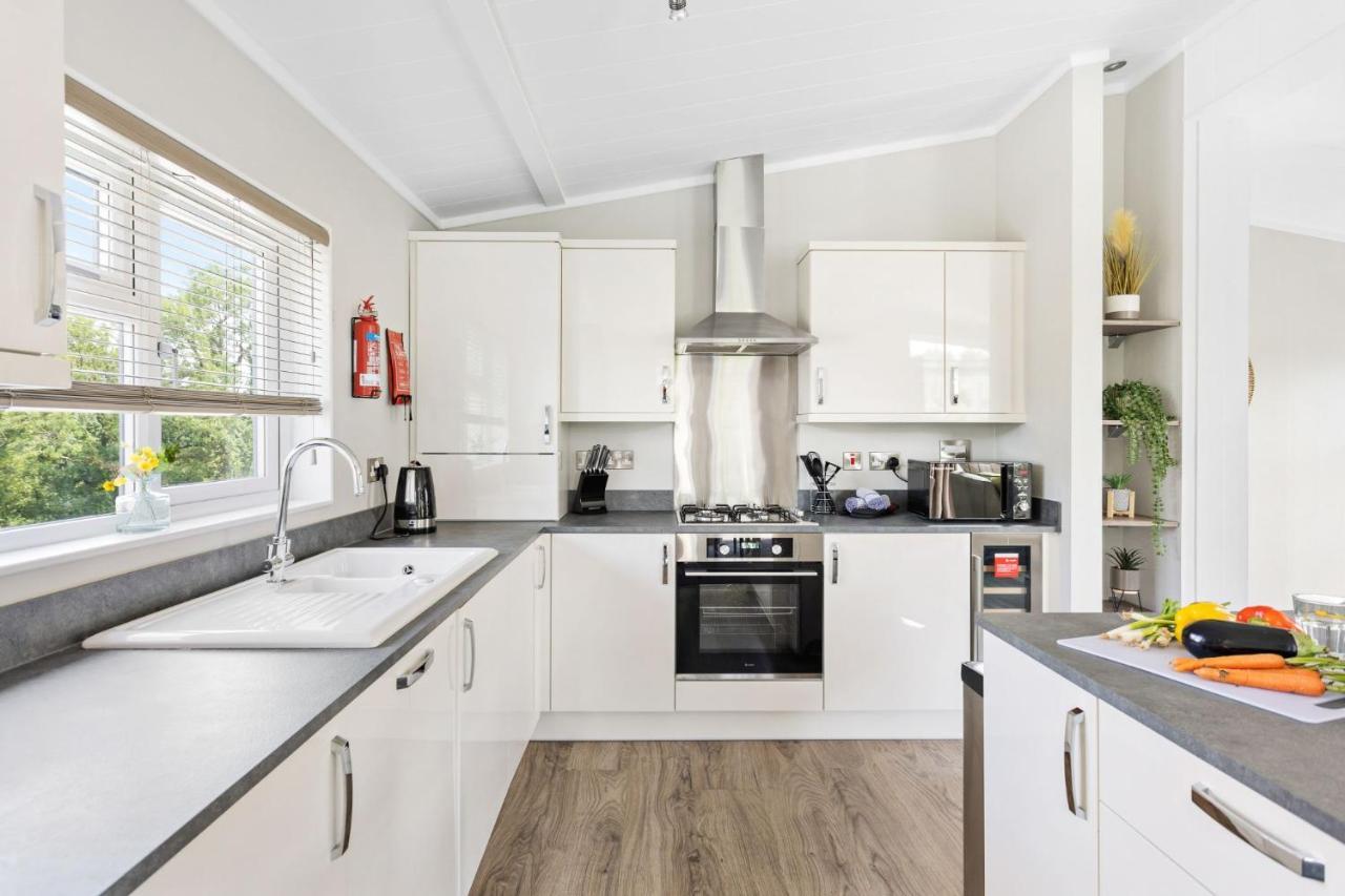 Rose Lodge, 21 Roadford Lake Lodges Lifton エクステリア 写真
