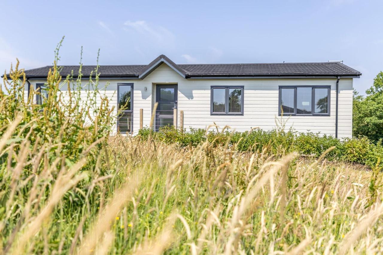 Rose Lodge, 21 Roadford Lake Lodges Lifton エクステリア 写真